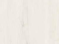 simplicia_conchiglia