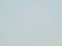 struttura_bianco struttura_bianco